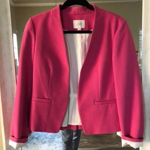 LOFT Pink Blazer